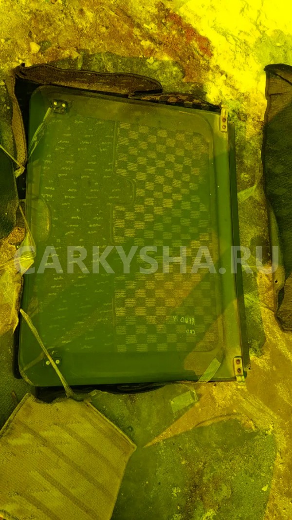 Люк Nissan Rasheen 