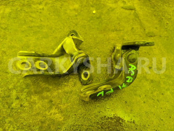 Петли на дверь Toyota RAV 4 
