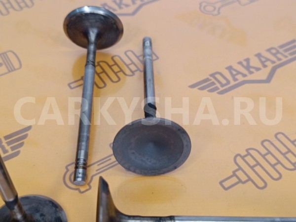 Клапан впускной комплект 4 шт Audi A3 8PA CBZB Audi A3 