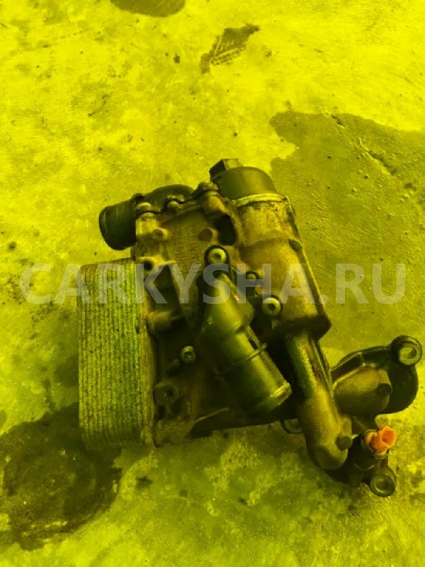 Радиатор масляный Nissan X-Trail 