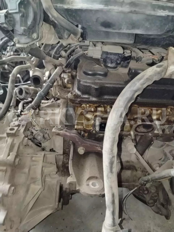 Двигатель Nissan Teana оригинальный номер 10102JN01F