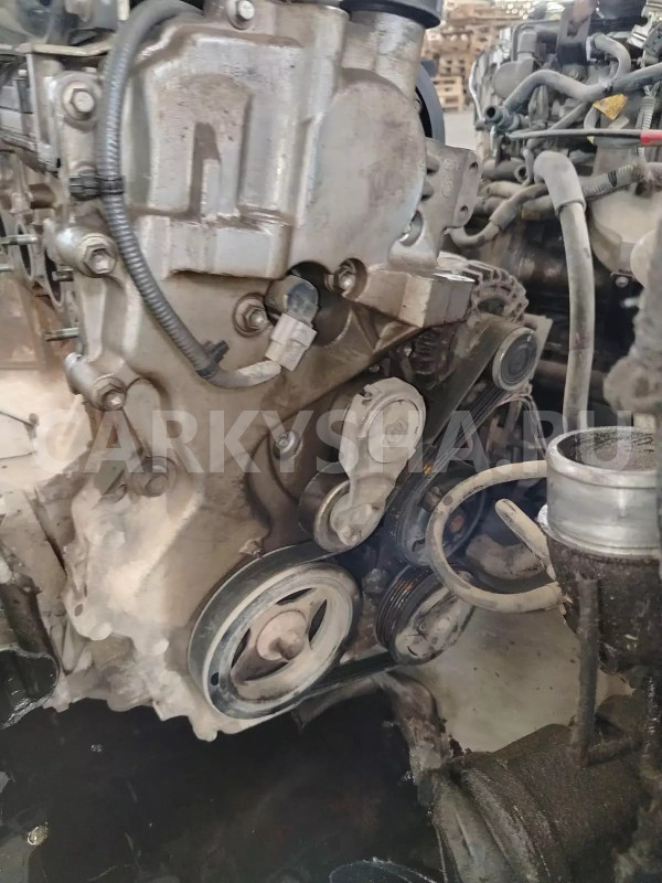 Двигатель Nissan Qashqai оригинальный номер 10102JN30F, 10102EW80F