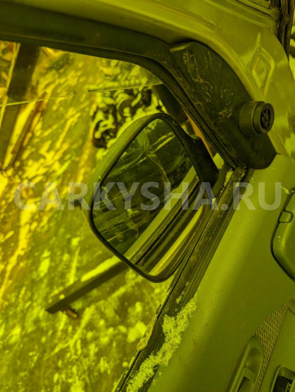 Зеркало Daihatsu Atrai 